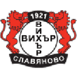 Vihar Slavyanovo logo