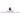 Professional Development League logo
