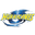 Hurricanes logo