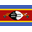 Eswatini logo
