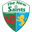 The New Saints logo