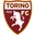 Torino logo