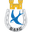 Dungannon Swifts logo