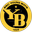 BSC Young Boys logo