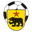 Altstätten logo