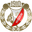 Widzew Łódź logo