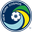 NY Cosmos logo