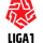 Primera División logo