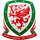 League Cup logo