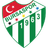 Bursaspor logo
