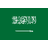 Saudi Arabia U20 logo