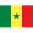 Senegal U17 logo