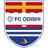 Odishi 1919 logo