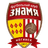 Znamya Noginsk logo