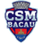 CSM Bacău logo