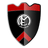 FCM Ungheni logo