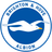 Brighton U18 logo