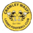 Crawley Wasps W logo
