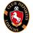Deportes Limache logo