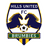 Hills Brumbies logo