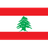 Lebanon W logo