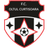 Oltul Curtişoara logo