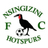 Nsingizini Hotspurs logo