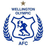 Wellington Olympic logo