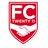 Twenty 11 logo