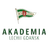 Akademia Piłkarska LG logo