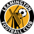 Leamington Lions logo