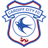 Cardiff City U18 logo