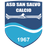 Salvo logo