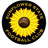 Sunflower State logo