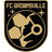 Brownsville logo