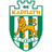 Karpaty Lviv U19 logo