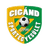 Cigand SE logo
