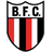 Botafogo SP logo