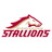 Stallion W logo