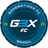G3X logo