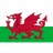 Wales U19 W logo