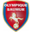 Saumur logo