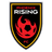 Phoenix Rising logo