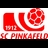 Pinkafeld logo