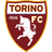 Torino logo