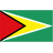 Guyana logo
