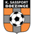 Sassport Boezinge logo