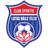 Sânmartin logo
