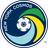 NY Cosmos logo