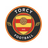 Torcy logo
